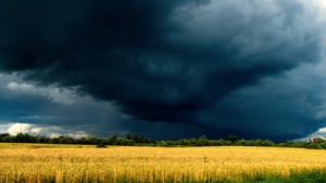 Dark Storm Clouds Gathering Over a Yellow Grass field